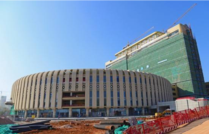 廣西國際壯醫(yī)醫(yī)院項(xiàng)目案例